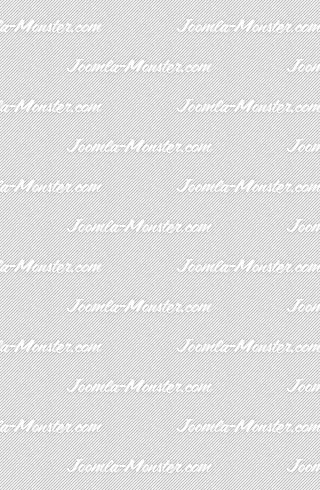 Slide 03